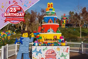 25th Birthday LEGO Cake