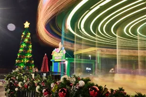 Holiday Tree And Carousel Ride Llny7x5