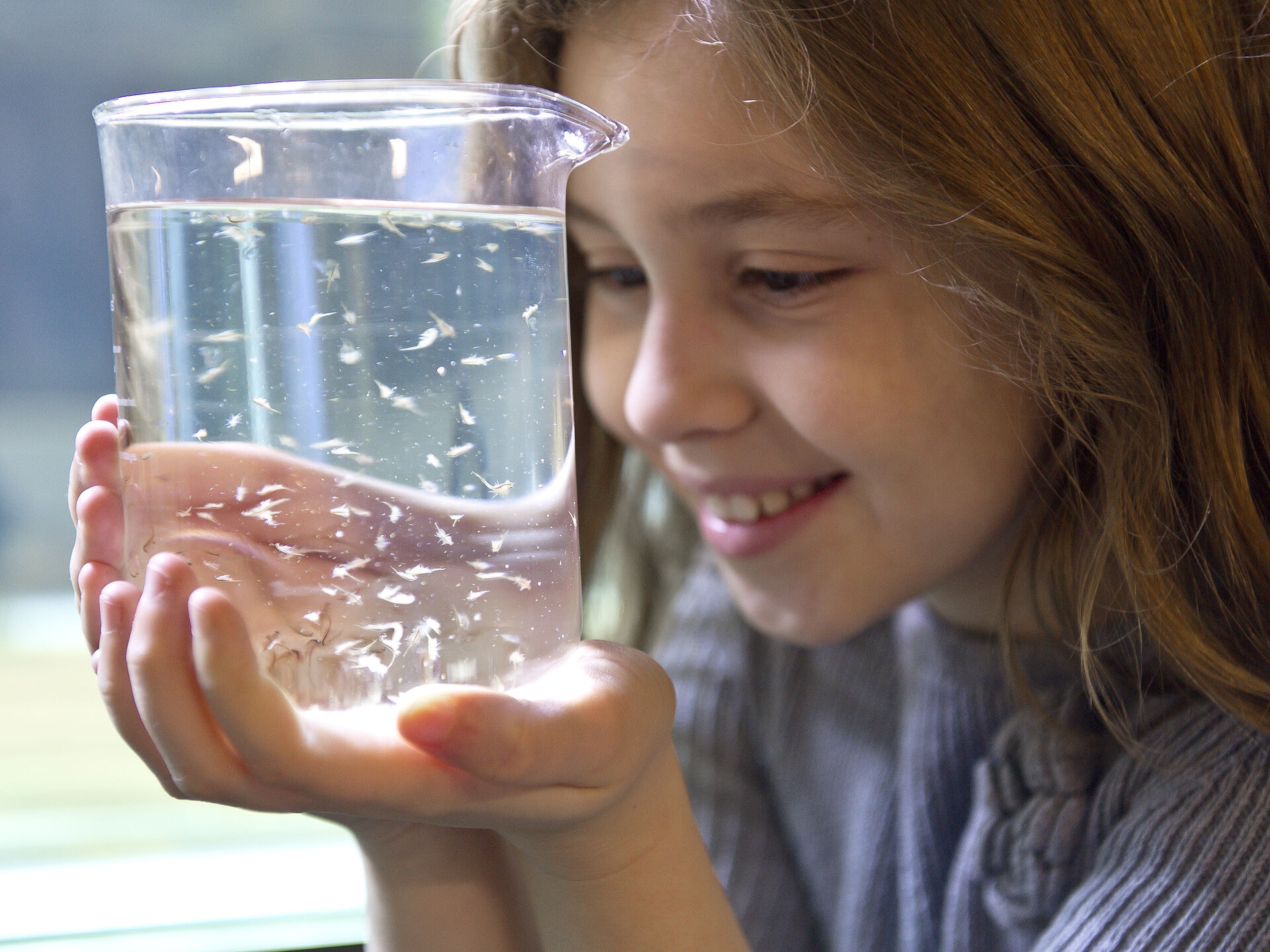 Girl holding and looking inside jar filled with sea creatures
