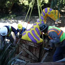 LEGO Dinosaurs on Explorer River Quest