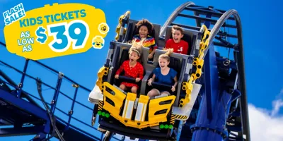 Kids screaming on LEGO Technic rollercoaster