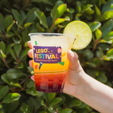 Pina Lime Boba Refresher