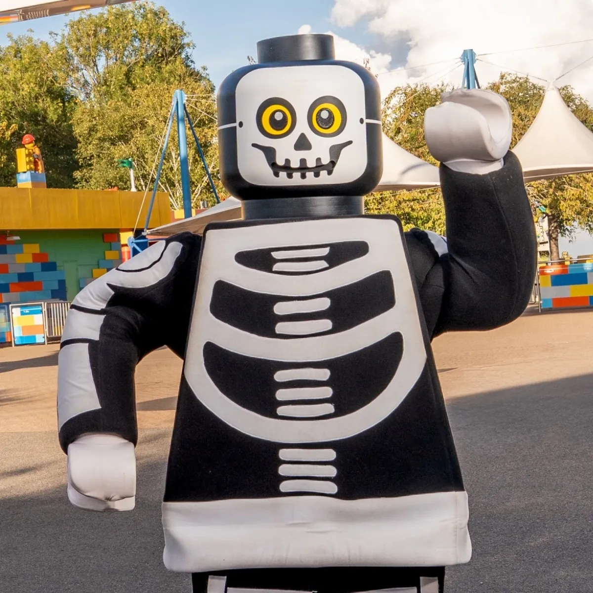 Skeleton Guy