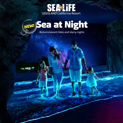SL SEA AT NIGHT HORIZONTAL POST OPENING HR RGB 300Ppi