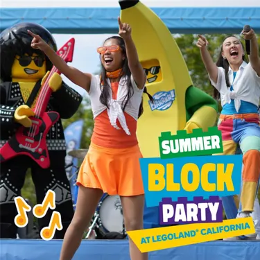 Summer Block Party 1X1