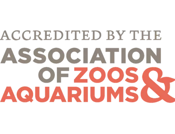 Aza Accredited