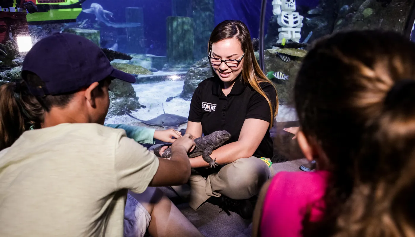 Sea Life Talks Feeding Times
