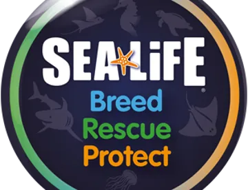 Brp Logo Tile