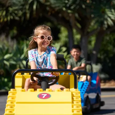 Girl Driving 1X1