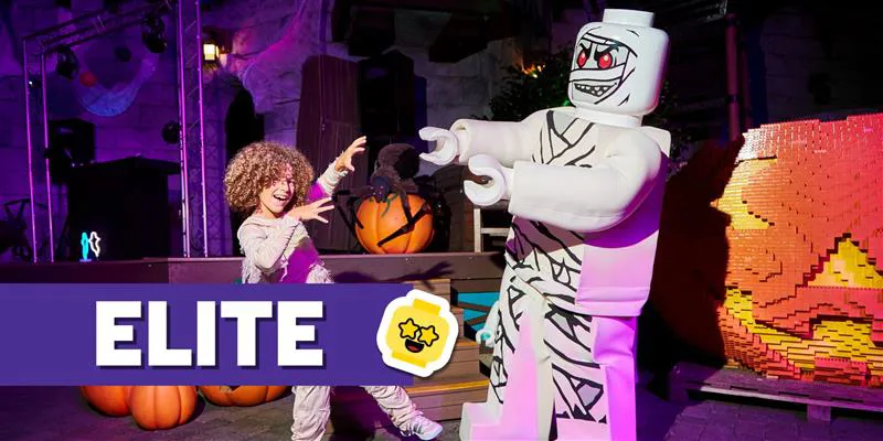 Boy with Minifigure Mummy - Elite Pass