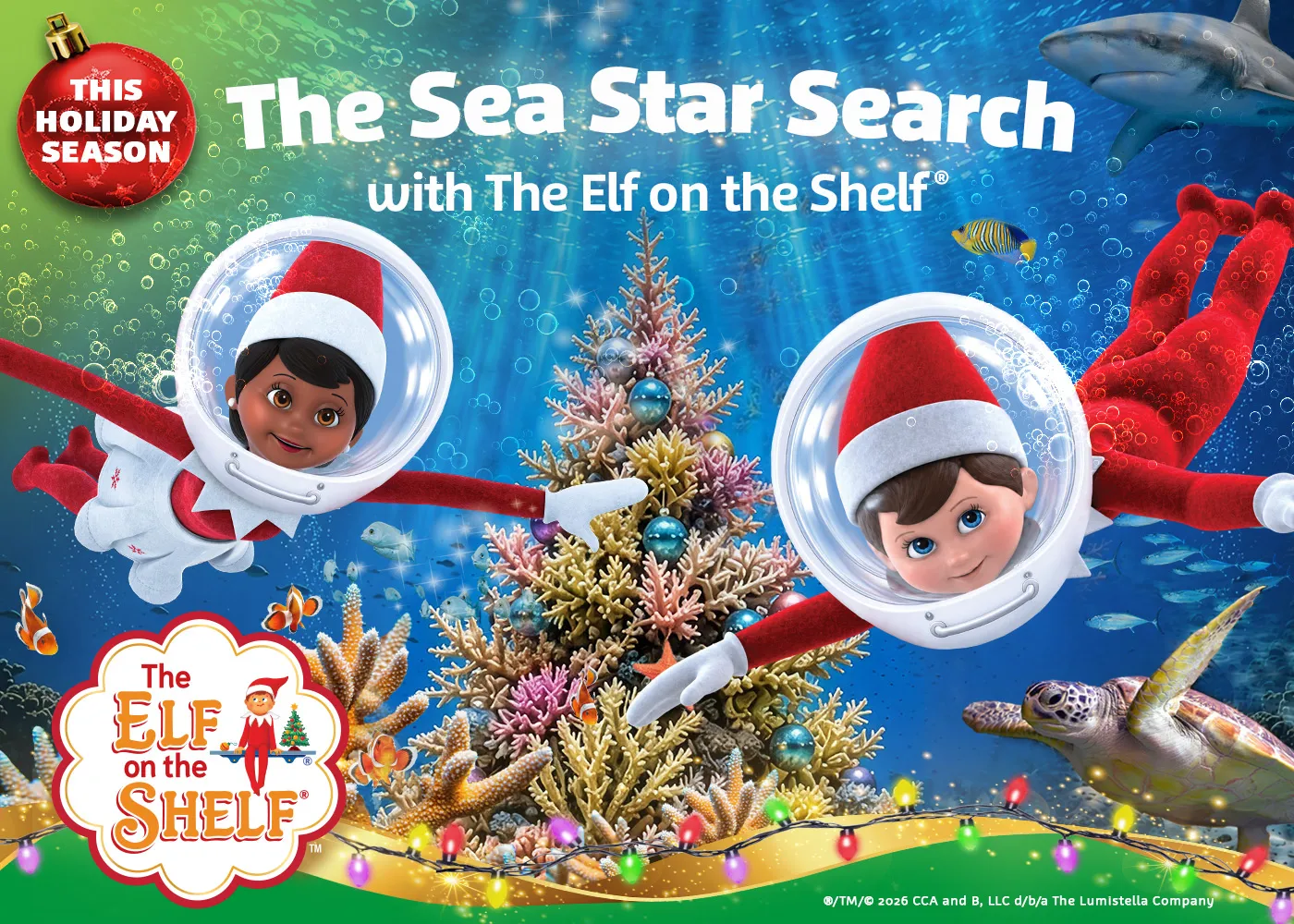 Elf On The Shelf Sea Star Search