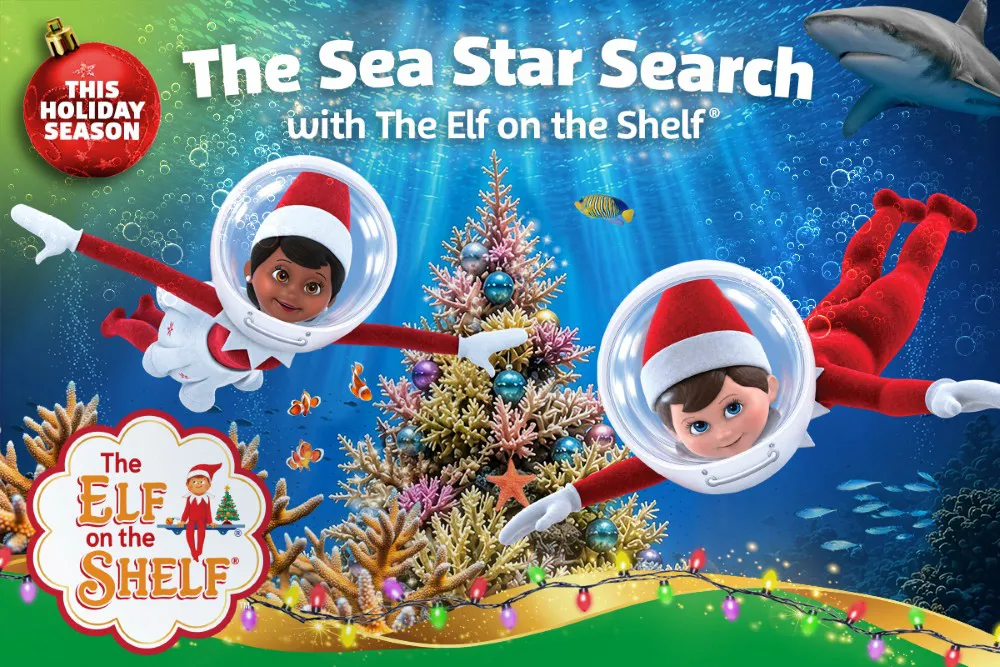 The Sea Star Search with Elf on the Shelf this Holiday Season at SEA LIFE Aquarium