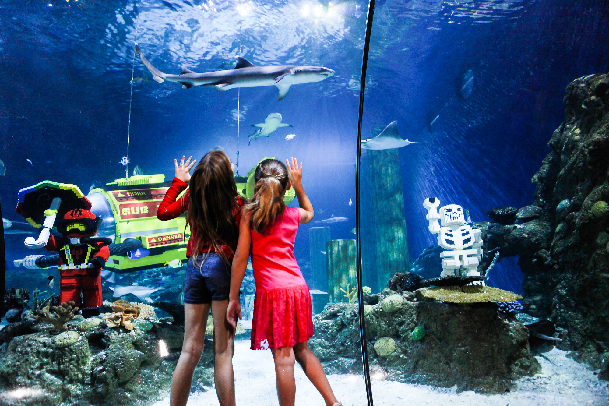 Legoland california water park sea life aquarium play pass Sea Life Aquarium At Legoland California Resort