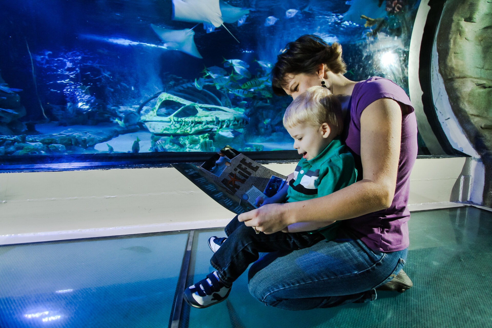 Mom holding child reading in front of aquarium at SEA LIFE