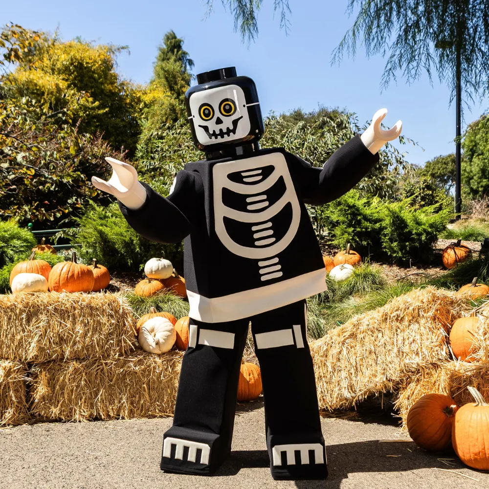 Skeleton M&G