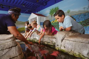 Kids at touchpools in SEA LIFE