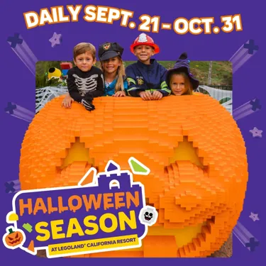 Halloween Season Square New Square