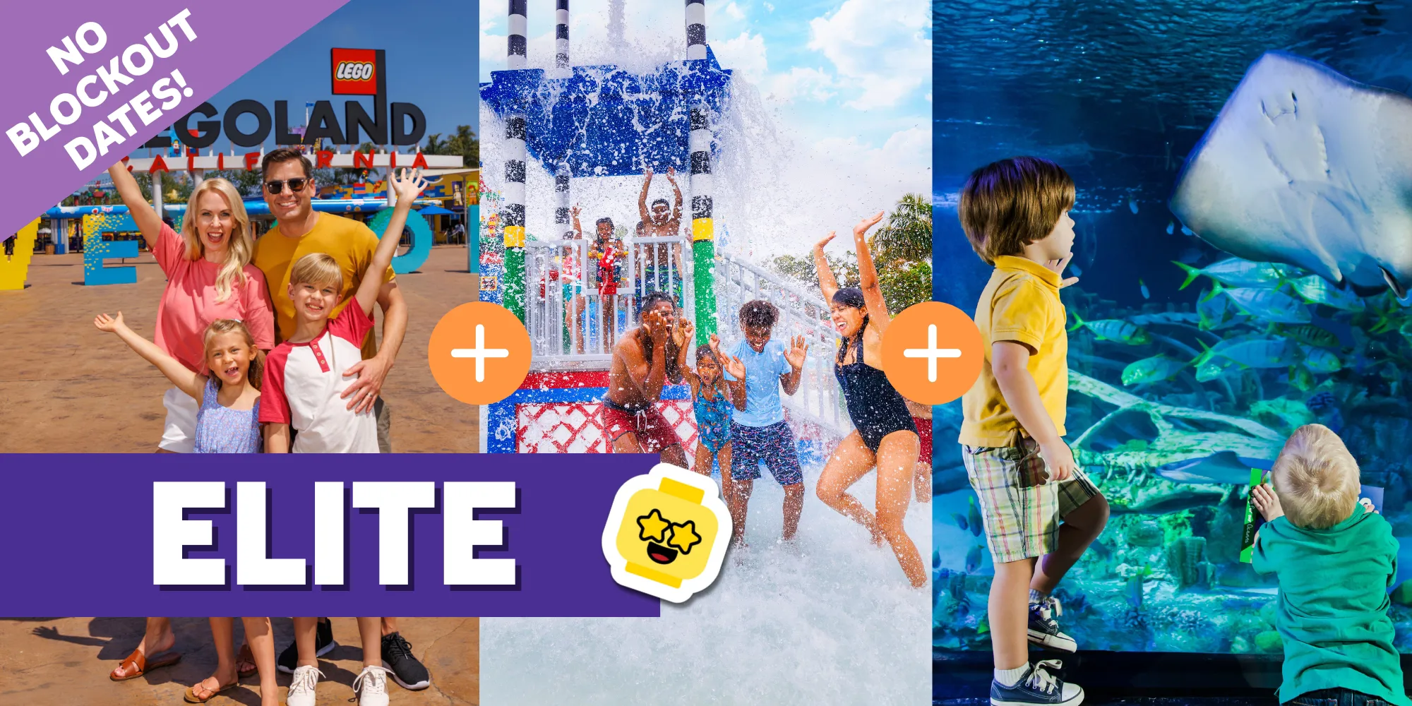 Theme Park Resort Annual Passes LEGOLAND® California