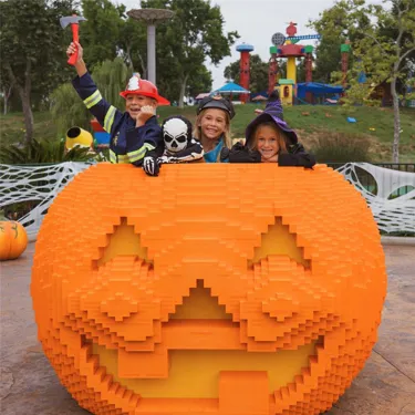 Halloween Season Themed Decor