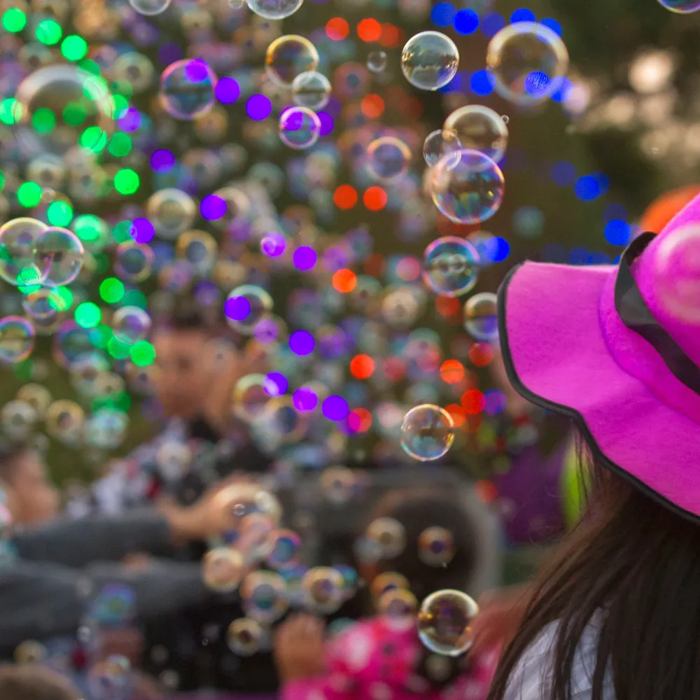 Bubbles Spring
