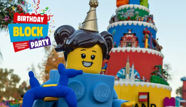 Birthday Block Party Birthday Brick Girl