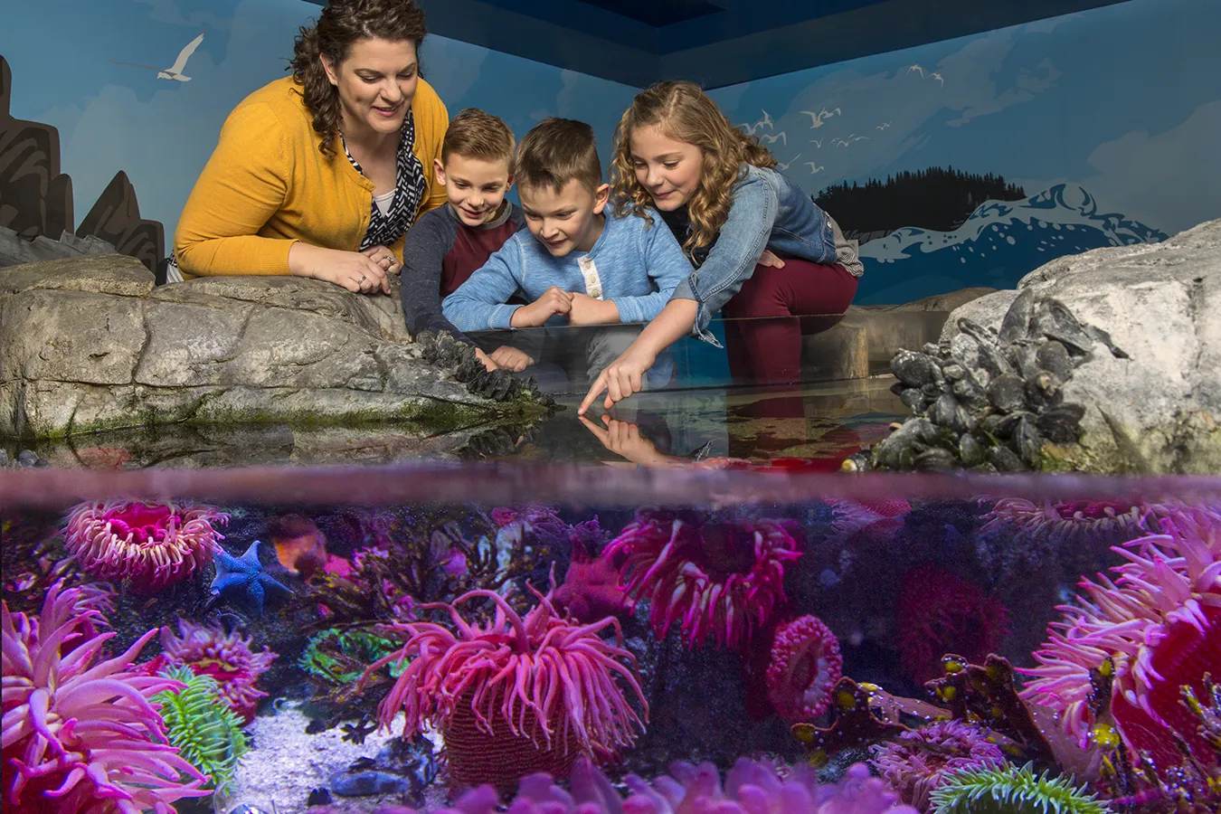 SEA LIFE Aquarium at LEGOLAND® California Resort