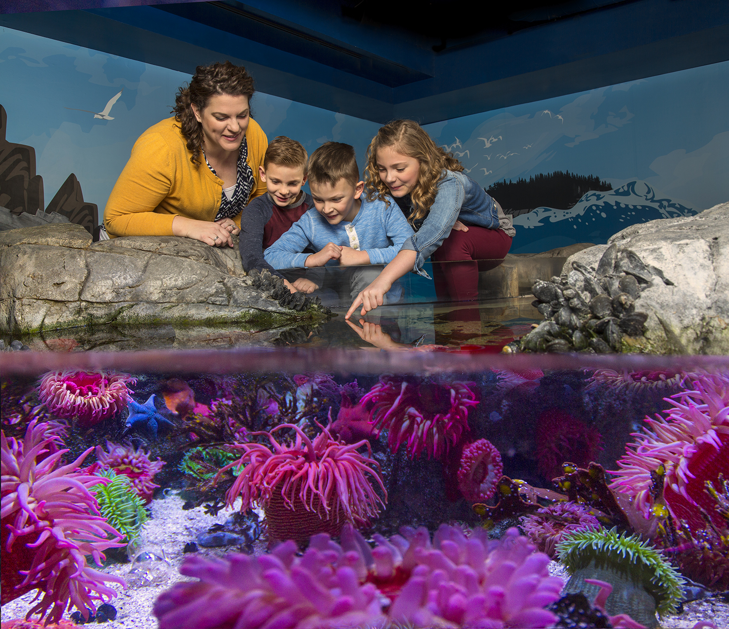 A family explores the Sea Life Aquarium Touch Pool
