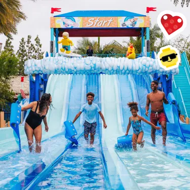 Water Park 1X1
