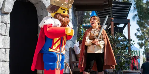 LLC Once Upon A Brick7x5