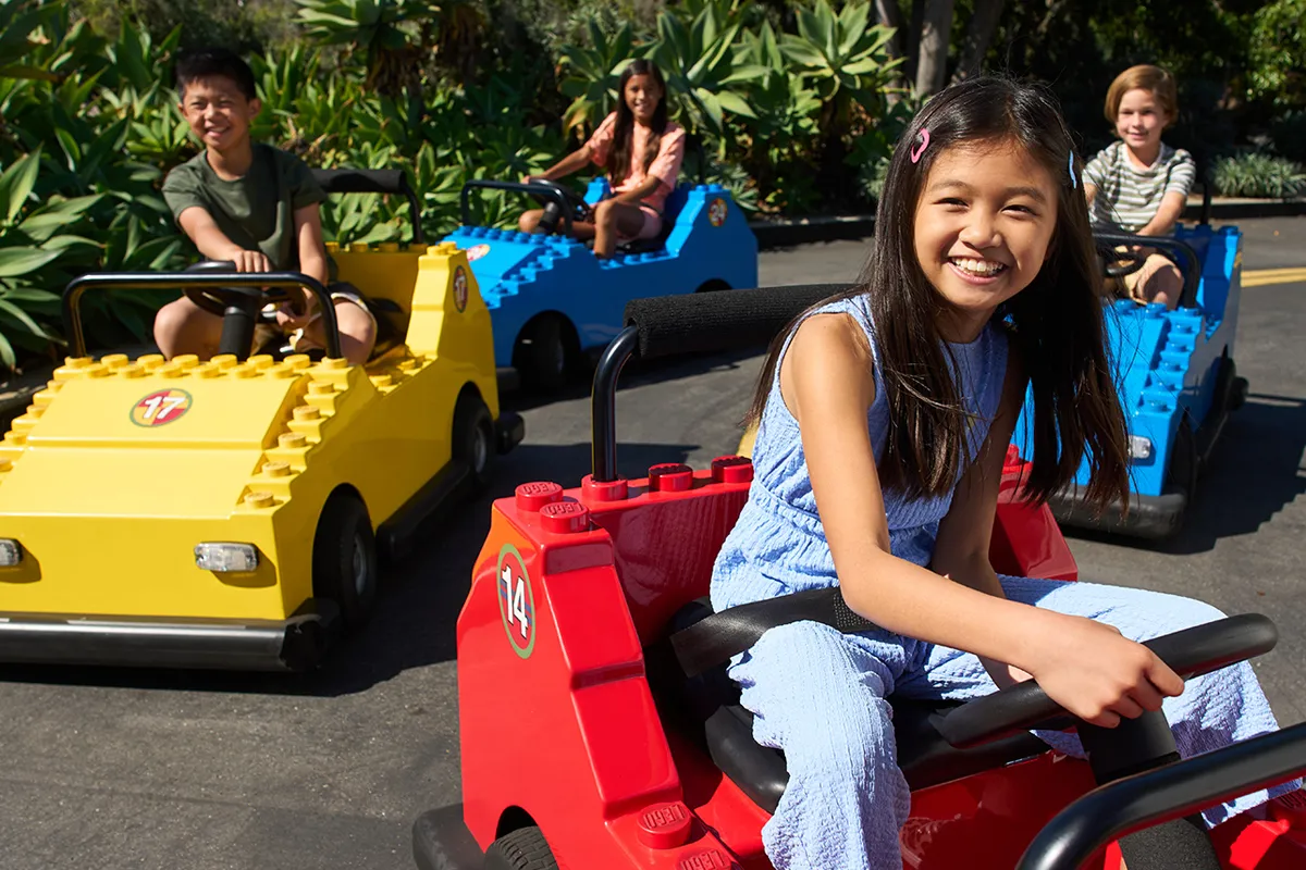 Grab your Driver License and take a spin around Driving School