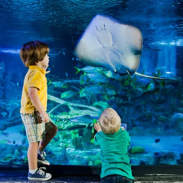 SEA LIFE® Aquarium