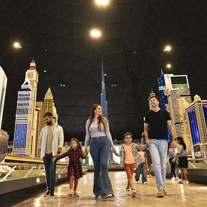 ATTRACTIONS 449 0011 MINILAND