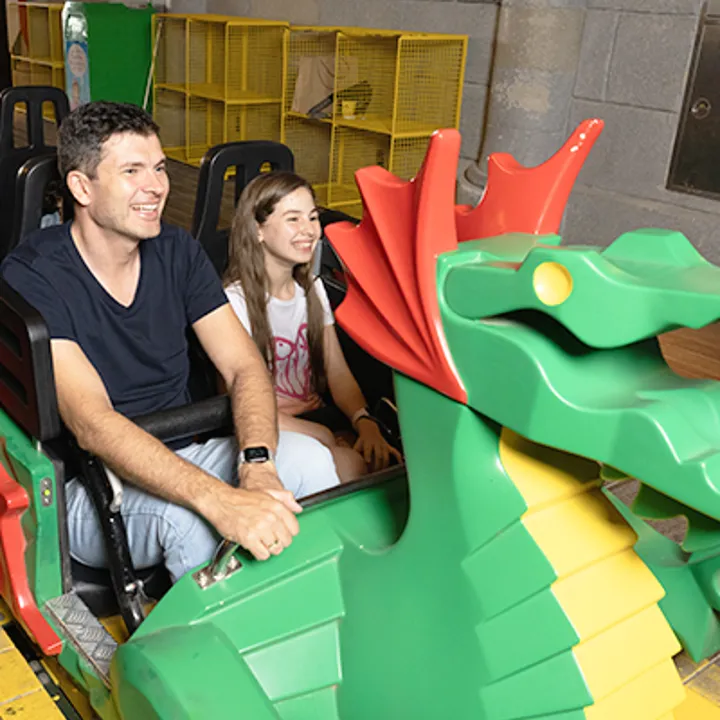 ATTRACTIONS 400X500px 0033 DRAGON