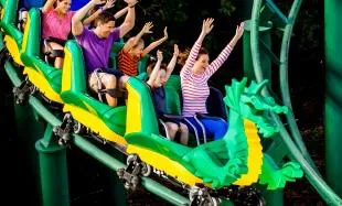 LLFR TICKET Dragon, Accesso 187X310