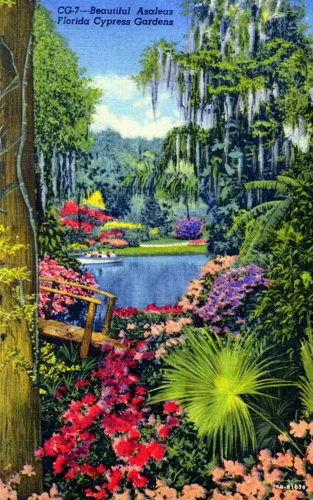 Azaleas Florida Cypress Gardens
