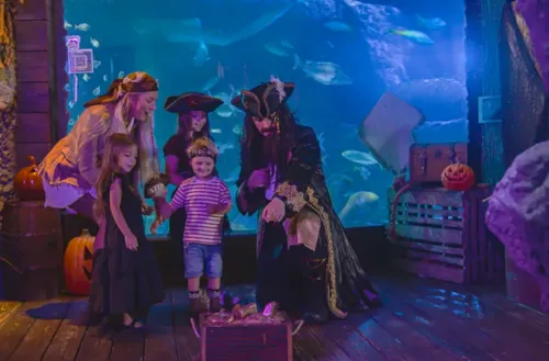 Pirates of the Haunted Seas at SEA LIFE Orlando Aquarium