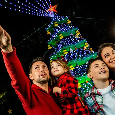 Holiday Landing Page Image Holiday Xmas Tree 7 5