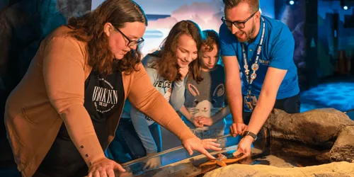 Magical Days Out Sea Life London 3X2