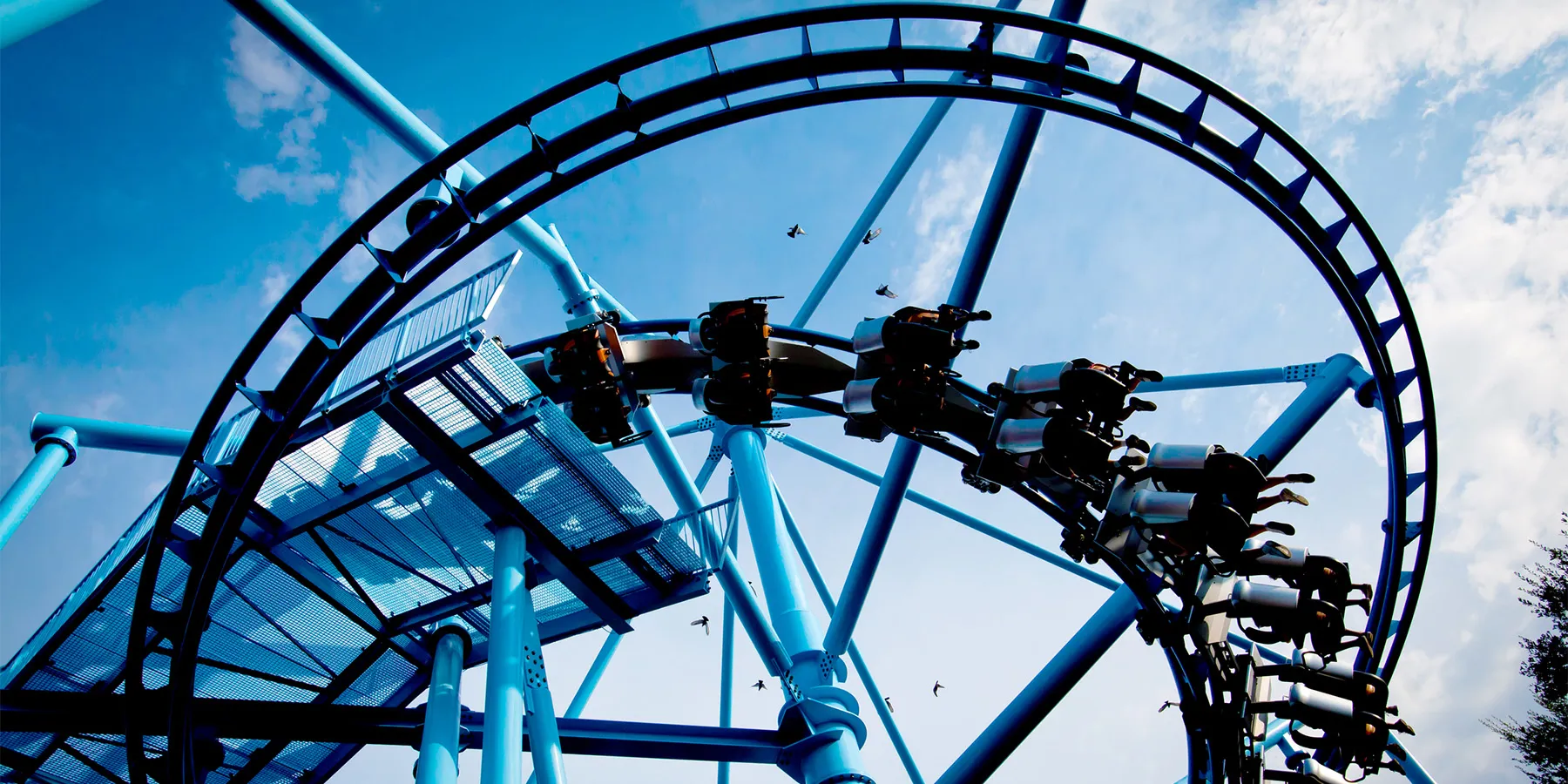 Rides 1800X900