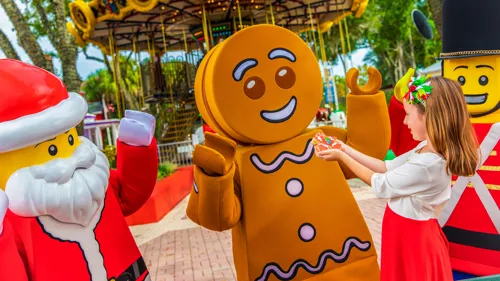 Holiday gingy