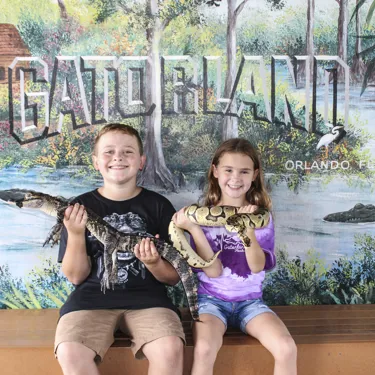 Snakeandgatorphoto