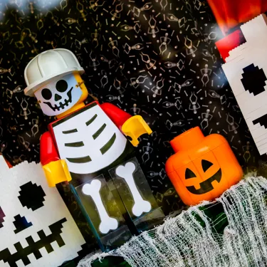 LEGOLANDFLORIDA BRICKORTREAT LEGO Minifigure Costume