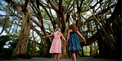 Cypress Gardens