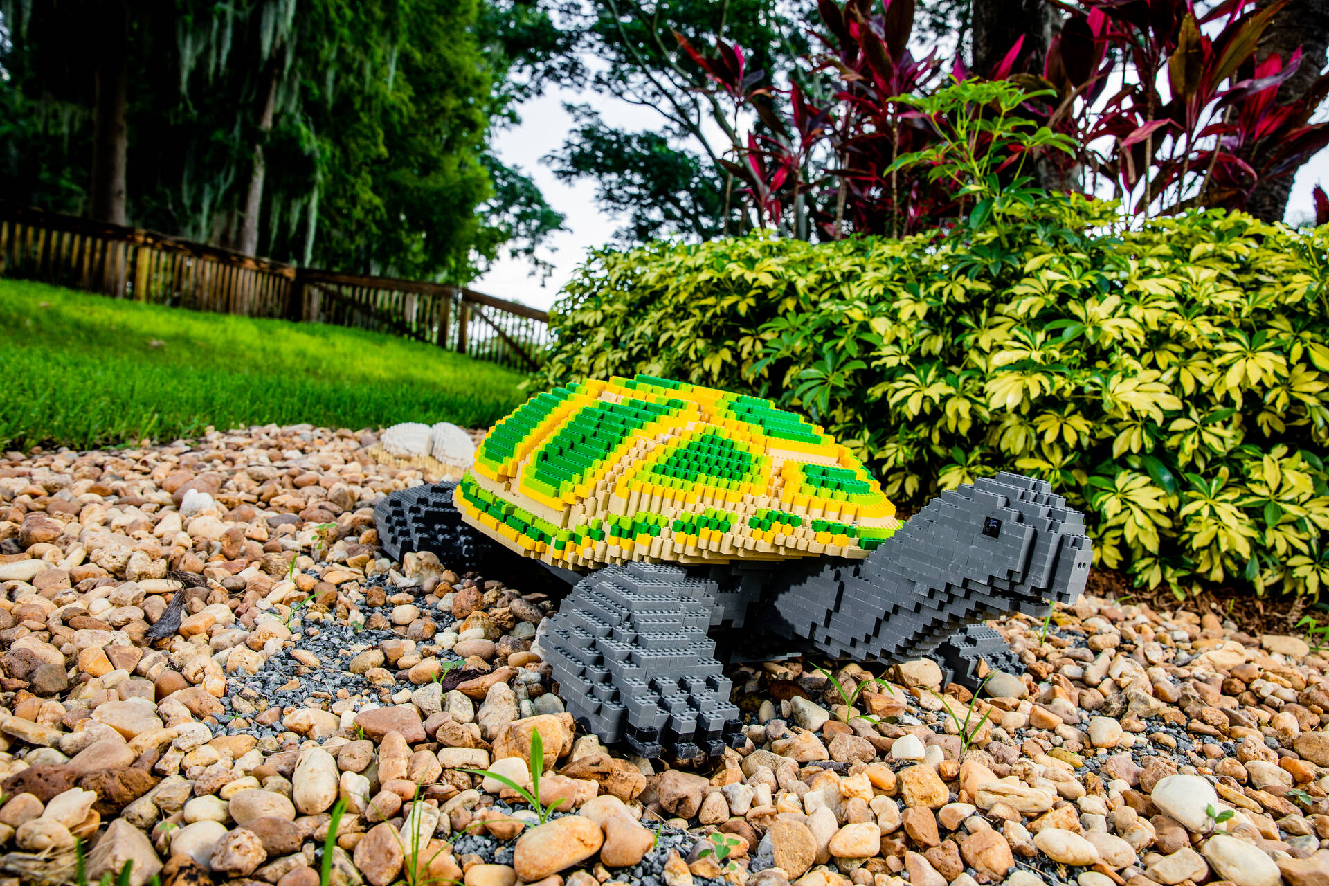 LEGO Turtle Model Alongside Wild Side Mini Golf Course