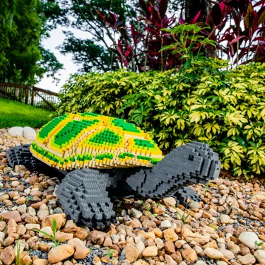 LEGO Turtle Model Alongside Wild Side Mini Golf Course