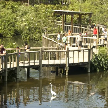 Breeding Marsh Walkway