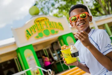 2018.06.03 LEGOLANDFLORIDA APPLEFRIES 0081