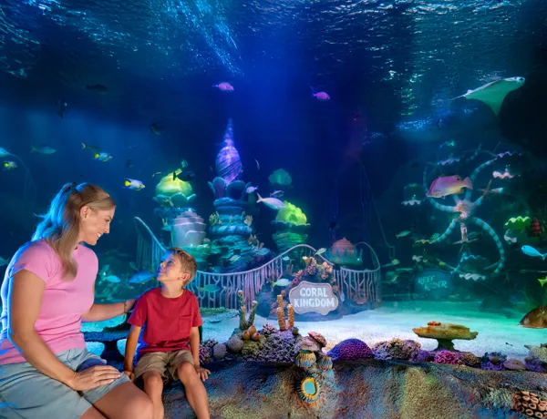 A woman and child viewing the Coral Kingdom exhibit at SEA LIFE Florida