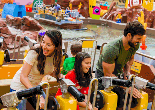 Florida Merlin Ticket