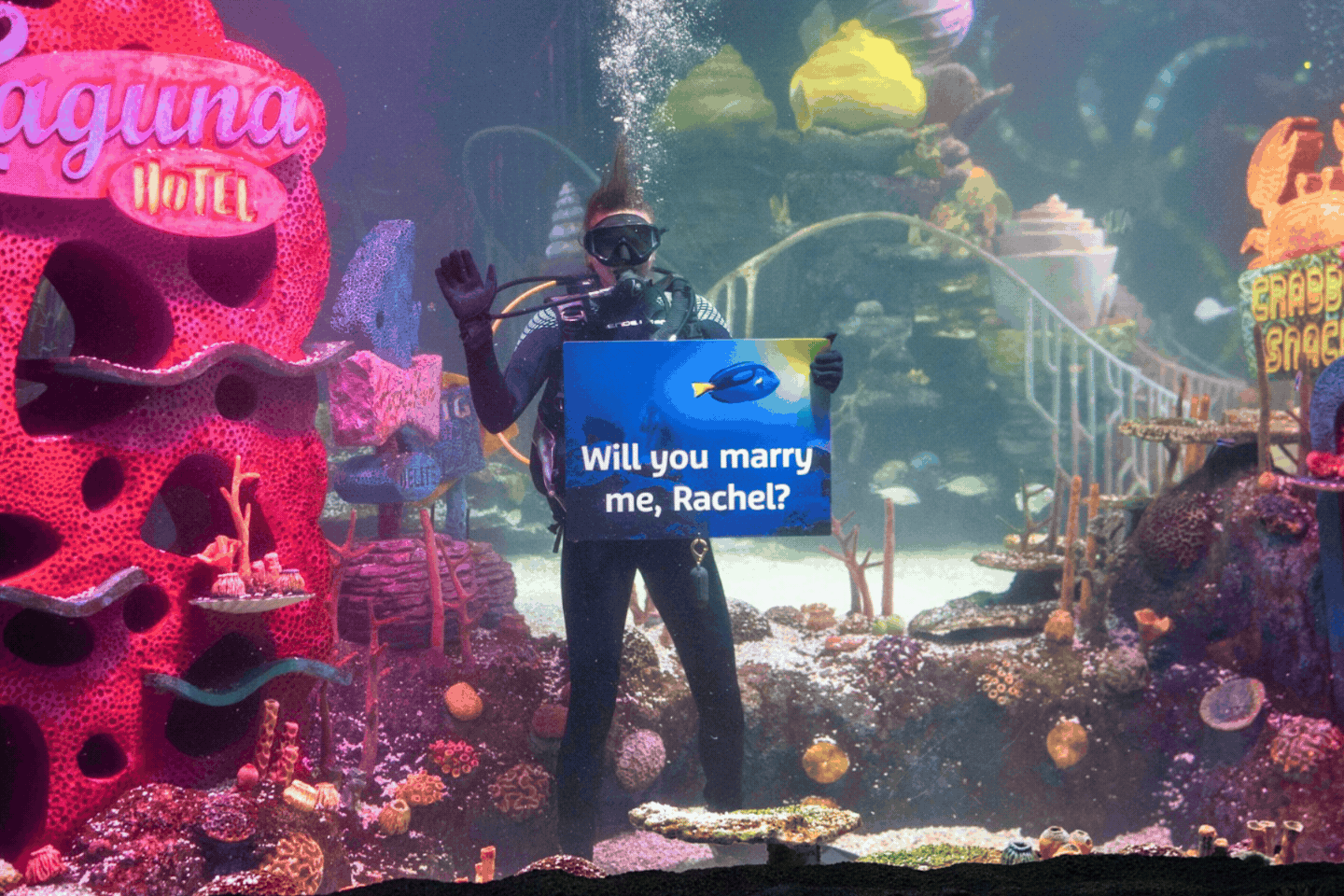 Underwater Greetings (2)